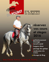 EQUITATION DE LÉGERETÉ ET DANS LE RESPECT DU CHEVAL